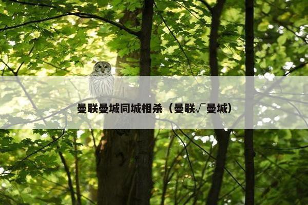 曼联曼城同城相杀（曼联√曼城）