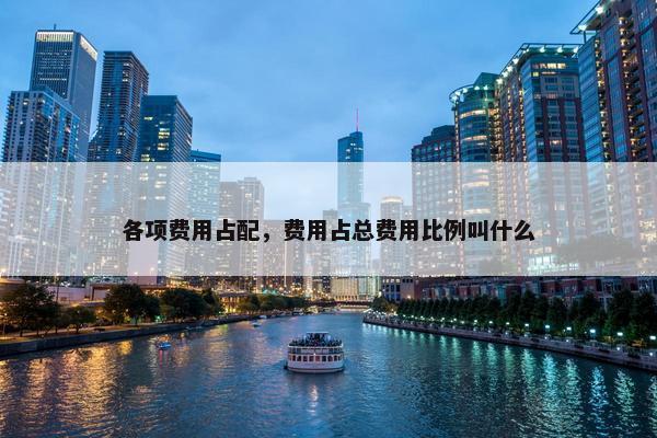 各项费用占配，费用占总费用比例叫什么