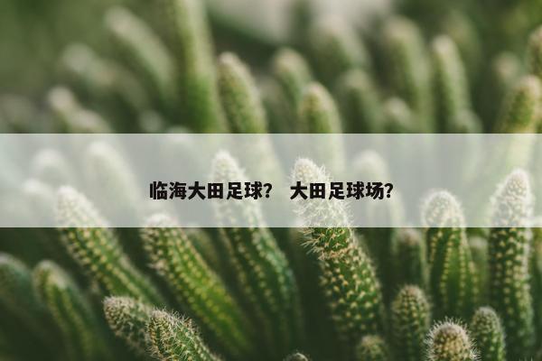 临海大田足球？ 大田足球场？