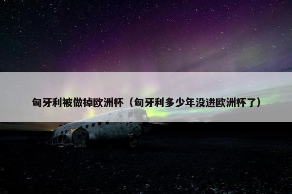 匈牙利被做掉欧洲杯（匈牙利多少年没进欧洲杯了）