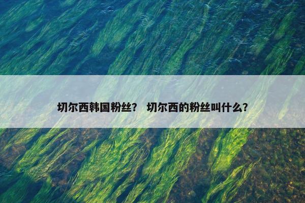 切尔西韩国粉丝？ 切尔西的粉丝叫什么？