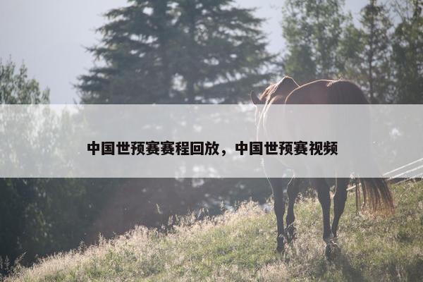 中国世预赛赛程回放，中国世预赛视频