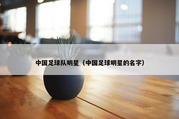中国足球队明星（中国足球明星的名字）