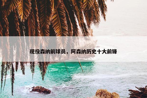 现役森纳前球员，阿森纳历史十大前锋