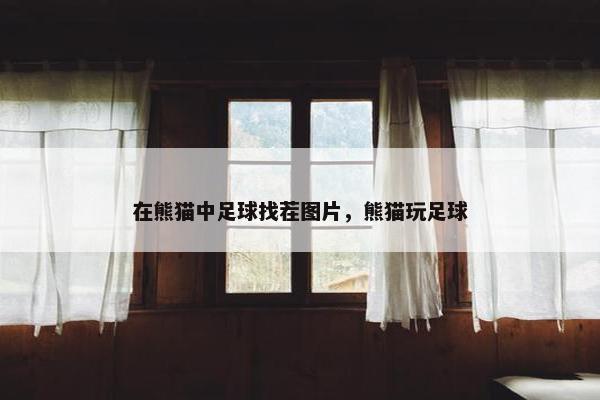 在熊猫中足球找茬图片，熊猫玩足球
