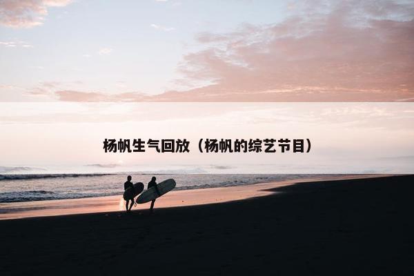 杨帆生气回放（杨帆的综艺节目）
