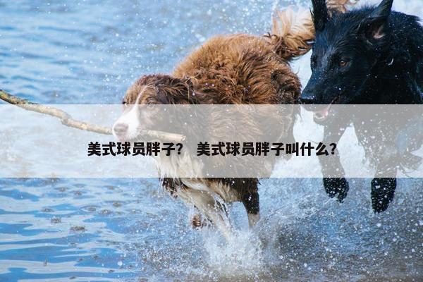 美式球员胖子？ 美式球员胖子叫什么？