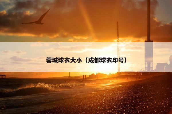 蓉城球衣大小（成都球衣印号）
