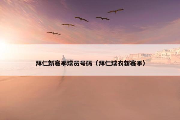 拜仁新赛季球员号码（拜仁球衣新赛季）