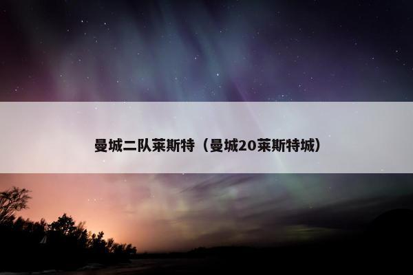 曼城二队莱斯特（曼城20莱斯特城）
