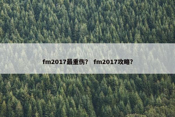 fm2017最重伤？ fm2017攻略？