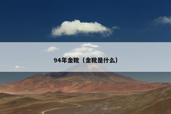 94年金靴（金靴是什么）