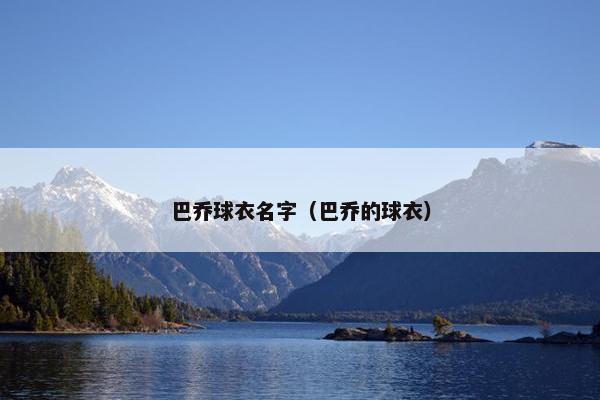 巴乔球衣名字（巴乔的球衣）