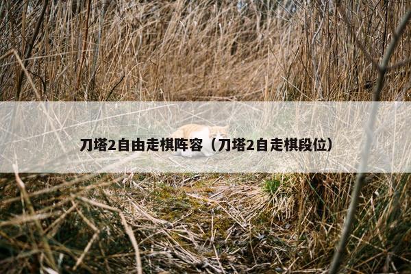 刀塔2自由走棋阵容（刀塔2自走棋段位）