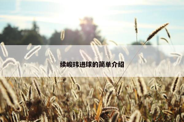 续峻玮进球的简单介绍
