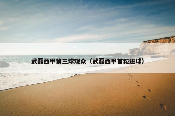 武磊西甲第三球观众（武磊西甲首粒进球）