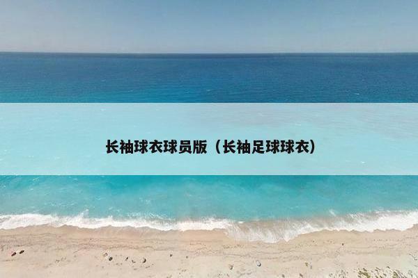 长袖球衣球员版（长袖足球球衣）
