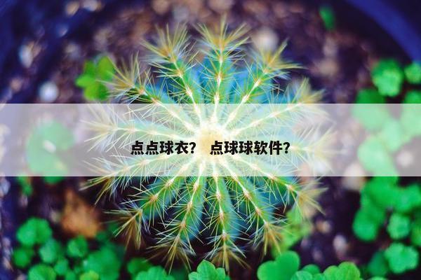 点点球衣？ 点球球软件？