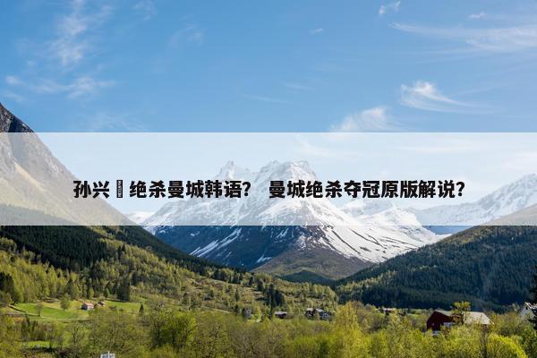 孙兴慜绝杀曼城韩语？ 曼城绝杀夺冠原版解说？