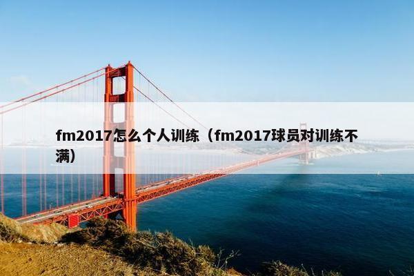 fm2017怎么个人训练（fm2017球员对训练不满）