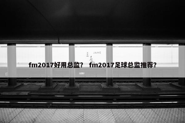 fm2017好用总监？ fm2017足球总监推荐？