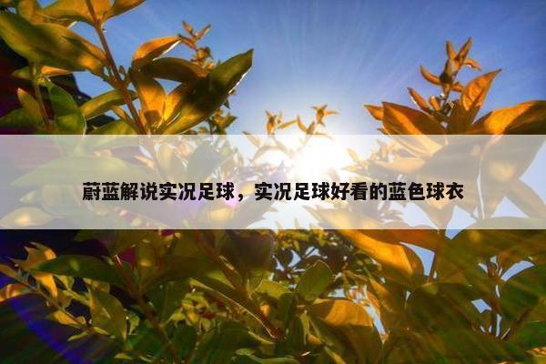 蔚蓝解说实况足球，实况足球好看的蓝色球衣