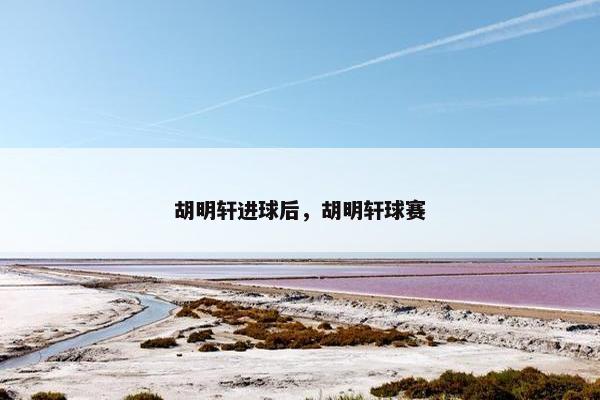 胡明轩进球后，胡明轩球赛