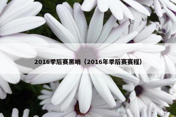 2016季后赛黑哨（2016年季后赛赛程）