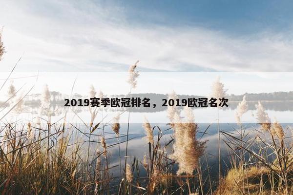 2019赛季欧冠排名，2019欧冠名次