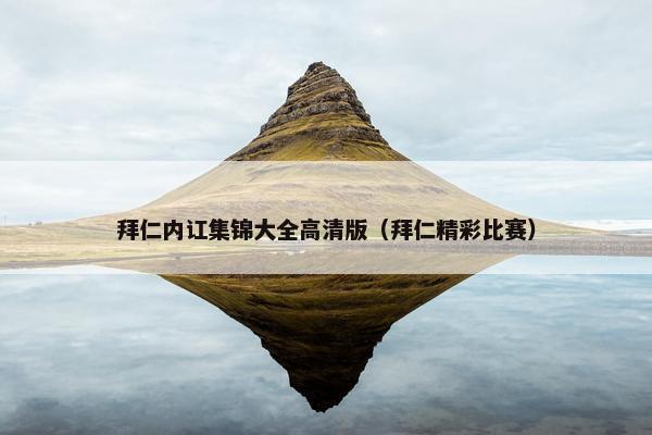 拜仁内讧集锦大全高清版（拜仁精彩比赛）