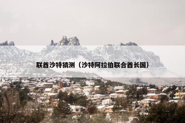 联酋沙特猜测（沙特阿拉伯联合酋长国）
