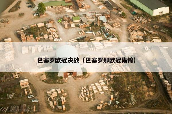 巴塞罗欧冠决战（巴塞罗那欧冠集锦）