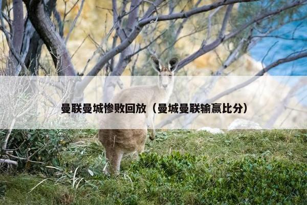 曼联曼城惨败回放（曼城曼联输赢比分）