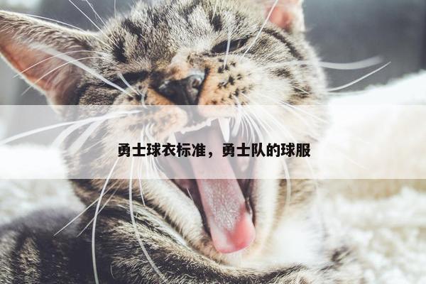 勇士球衣标准，勇士队的球服