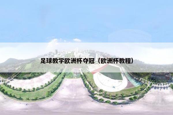足球教学欧洲杯夺冠（欧洲杯教程）