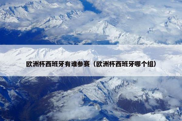 欧洲杯西班牙有谁参赛（欧洲杯西班牙哪个组）