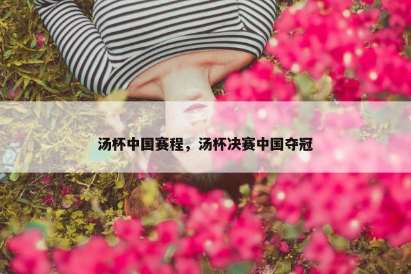 汤杯中国赛程，汤杯决赛中国夺冠