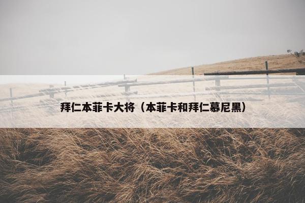 拜仁本菲卡大将（本菲卡和拜仁慕尼黑）