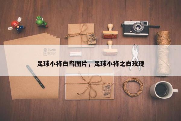 足球小将白鸟图片，足球小将之白玫瑰