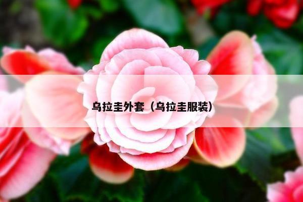 乌拉圭外套（乌拉圭服装）