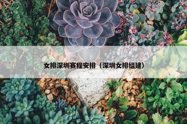 女排深圳赛程安排（深圳女排组建）