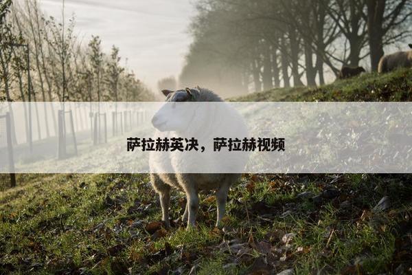 萨拉赫英决，萨拉赫视频