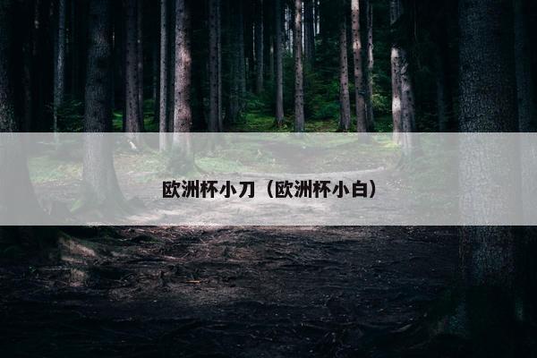 欧洲杯小刀（欧洲杯小白）