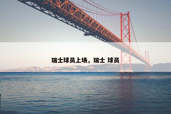 瑞士球员上场，瑞士 球员