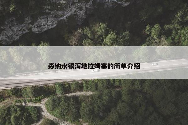 森纳水银泻地拉姆塞的简单介绍