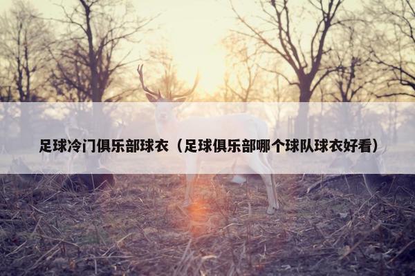 足球冷门俱乐部球衣（足球俱乐部哪个球队球衣好看）