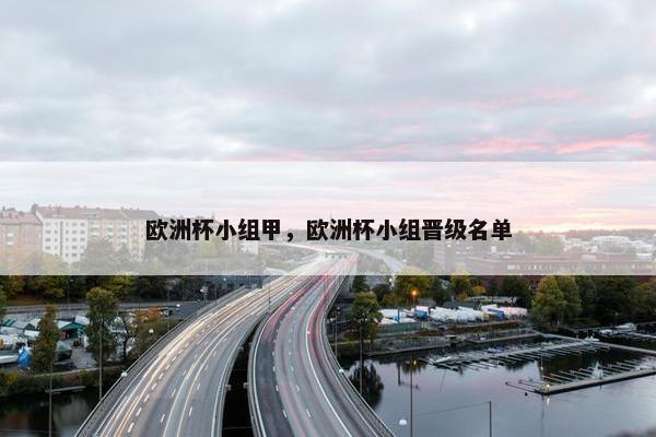 欧洲杯小组甲，欧洲杯小组晋级名单
