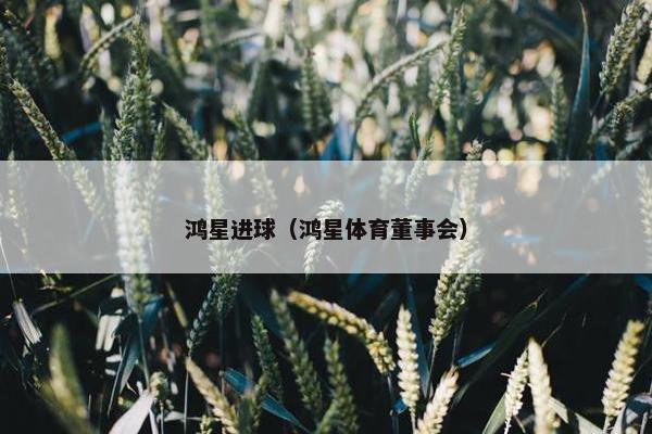 鸿星进球（鸿星体育董事会）