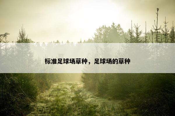 标准足球场草种，足球场的草种