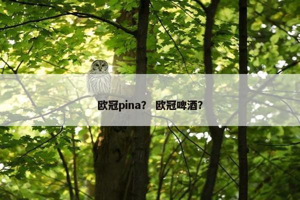 欧冠pina？ 欧冠啤酒？